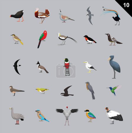 Ilustración de Diversos pájaros Dibujos animados Vector Ilustración 10 - Imagen libre de derechos