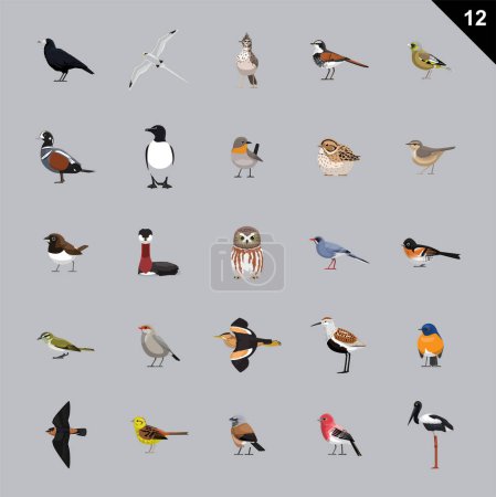 Téléchargez les illustrations : Illustration vectorielle de dessins animés sur divers oiseaux 12 - en licence libre de droit