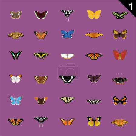 Illustration for Butterfly Various Cartoon Vector Illustration Set 1 - Royalty Free Image