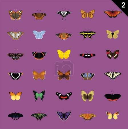 Illustration for Butterfly Various Cartoon Vector Illustration Set 2 - Royalty Free Image