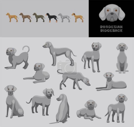 Téléchargez les illustrations : Ensemble de variation de couleur pour chien Rhodésie Ridgeback Blue Coat Cartoon Vector Illustration - en licence libre de droit