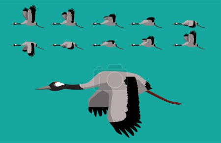 Ilustración de Secuencia de animación animal Grúa común Vector de dibujos animados voladores - Imagen libre de derechos
