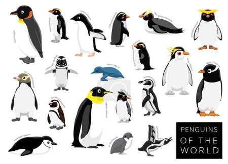 Téléchargez les illustrations : Oiseaux Pingouins du Monde Set personnage vecteur de bande dessinée - en licence libre de droit