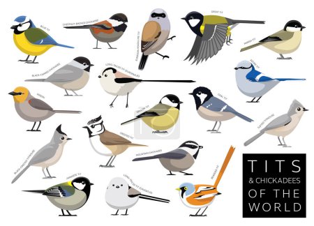 Téléchargez les illustrations : Bird Tits and Chickadees of the World Set Cartoon Vector Character - en licence libre de droit