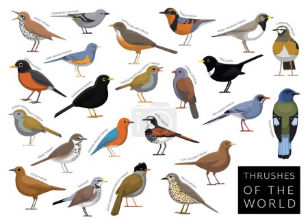 Téléchargez les illustrations : Poussées d'oiseaux du monde Set personnage vecteur de bande dessinée - en licence libre de droit