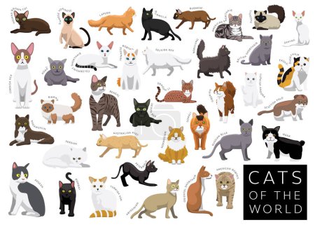Ilustración de Gatos del Mundo Set Caricatura Vector Carácter - Imagen libre de derechos