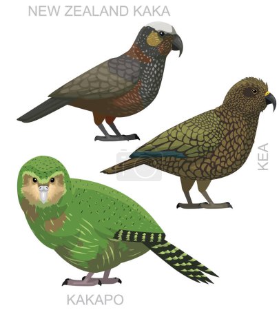 Ilustración de Lindo pájaro Nueva Zelanda Loros Kaka Set Vector de dibujos animados - Imagen libre de derechos