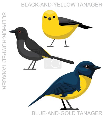 Illustration for Cute Bird Tanager Yellow Costa Rica Set Cartoon Vector - Royalty Free Image
