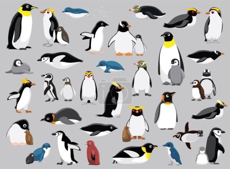 Téléchargez les illustrations : Ville de pingouin Illustration vectorielle de diverses espèces - en licence libre de droit