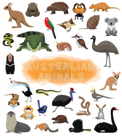 Illustration for Cute Australian Animals Set Cartoon Vector - Royalty Free Image