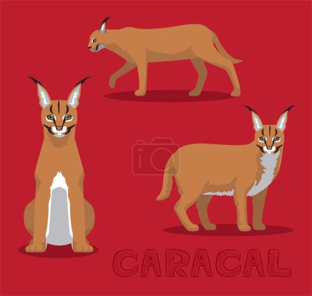 Téléchargez les illustrations : Illustration vectorielle de dessin animé Caracal Wild Cat - en licence libre de droit