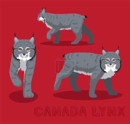 Téléchargez les illustrations : Illustration vectorielle de bande dessinée Lynx Cat Canada - en licence libre de droit