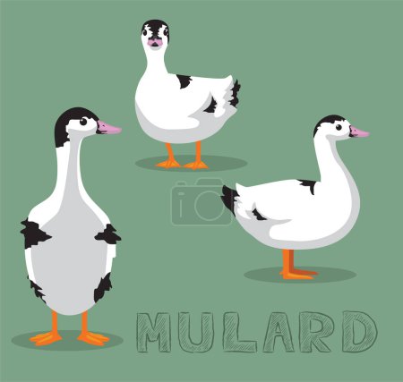 Illustration for Duck Mulard Cartoon Vector Illustration - Royalty Free Image