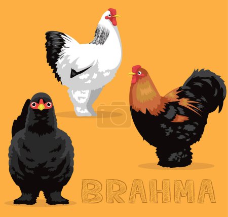 Ilustración de Vector de dibujos animados de pollo Brahma Ilustración - Imagen libre de derechos