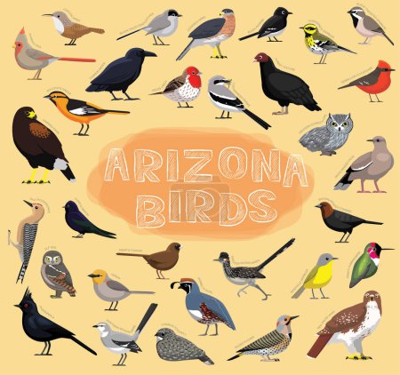 Téléchargez les illustrations : Oiseaux Arizona Set Illustration vectorielle - en licence libre de droit