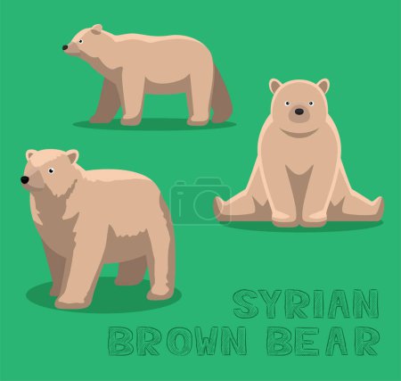 Téléchargez les illustrations : Illustration vectorielle de bande dessinée de l'ours brun syrien - en licence libre de droit
