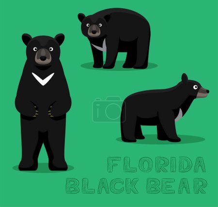 Téléchargez les illustrations : Illustration vectorielle de bande dessinée de l'ours noir de Floride - en licence libre de droit
