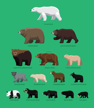 Téléchargez les illustrations : Tableaux comparatifs des tailles d'ours Illustration vectorielle de bande dessinée - en licence libre de droit