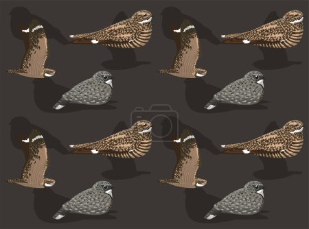 Bird Nightjar Nighthawk Poorwill Cute Seamless Wallpaper Background