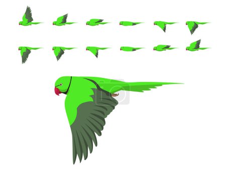 Illustration for Bird Parrot Indian Ringneck Parakeet Flying Animation Sequence Cartoon Vector - Royalty Free Image