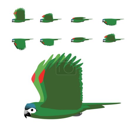Bird Parrot Hahn's Macaw Flying Animation Sequence Cartoon Vector
