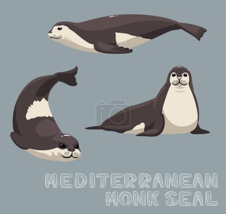 Téléchargez les illustrations : Illustration vectorielle de bande dessinée du phoque moine méditerranéen - en licence libre de droit
