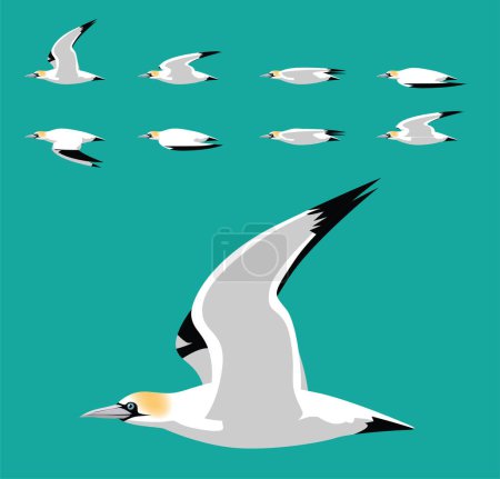 Illustration for Gannet Bird Flying Animation Sequence Cartoon Vector Illustration - Royalty Free Image