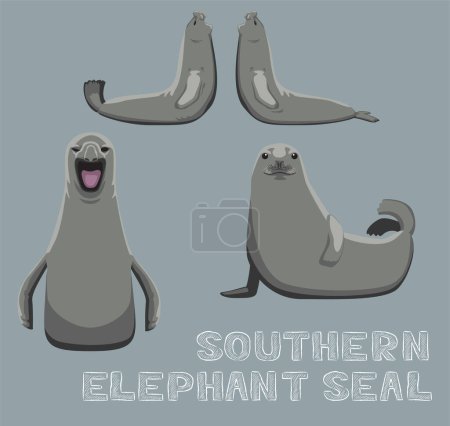 Southern Elephant Seal Cartoon Vector Illustration