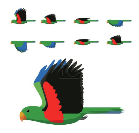 Pájaro loro ectus verde vuelo animación secuencia dibujos animados vector