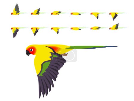 Illustration for Bird Parrot Sun Conure Parakeet Flying Animation Sequence Cartoon Vector - Royalty Free Image