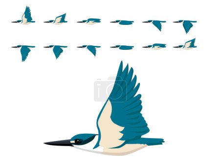 Bird Sacred Kingfisher Secuencia de animación Vector de dibujos animados