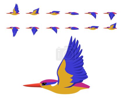 Pájaro enano oriental Kingfisher Vector de dibujos animados de secuencia de vuelo