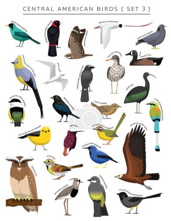 Téléchargez les illustrations : Oiseaux d'Amérique centrale ensemble personnage vectoriel de bande dessinée 3 - en licence libre de droit