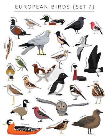 Téléchargez les illustrations : Ensemble d'oiseaux européens personnage vectoriel de bande dessinée 7 - en licence libre de droit