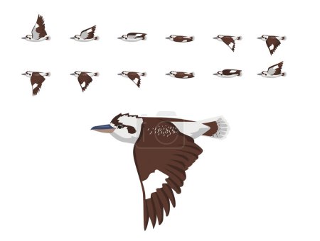 Vogel Animation Kookaburra Fliegen Niedliche Cartoon Vector Illustration