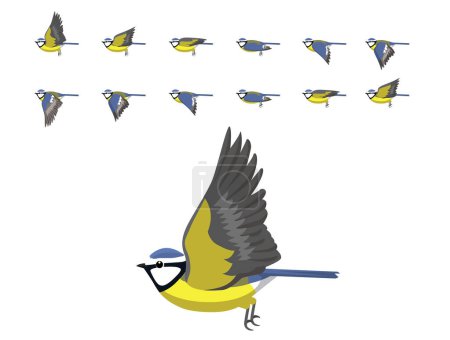 Téléchargez les illustrations : Bird Blue Tit Flying Animation Sequence Cartoon Vector - en licence libre de droit