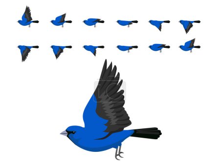 Téléchargez les illustrations : Bird Indigo Bunting Flying Animation Sequence Cartoon Vector - en licence libre de droit