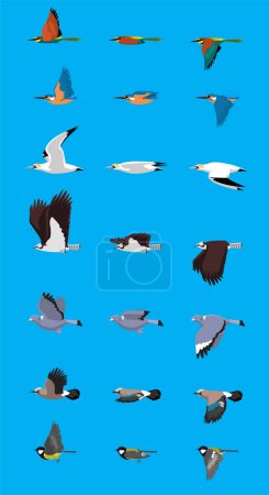 Téléchargez les illustrations : Various Bird Flying Sequence Cute Cartoon Vector Illustration Bee-eater Kingfisher Gannet Osprey Pigeon Jay Tit - en licence libre de droit