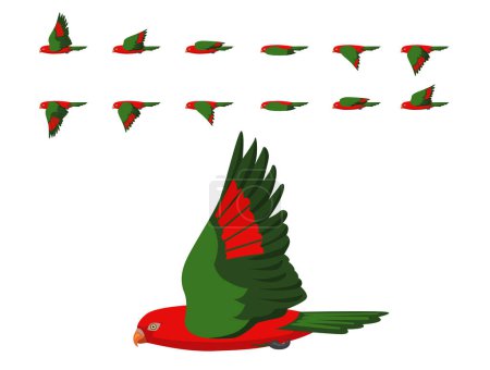 Bird Red Parrot Chattering Lory Flying Animation Sequence Cartoon Vector