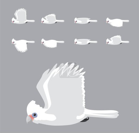 Bare-Eyed Cockatoo Flying Animation Sequence Cartoon Vector