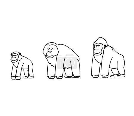 Mono dibujos animados mínimo orangután chimpancé gorila doodle carácter
