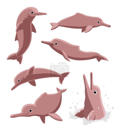 Cute River Dolphin Poses Set Cartoon Vector