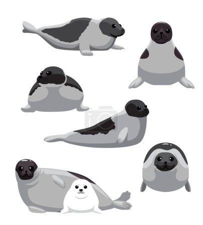 Harp Seal various Poses Set Cartoon Vector