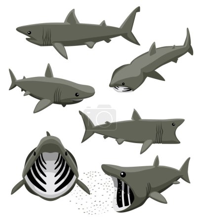 Lindo tiburón peregrino poses conjunto de dibujos animados vector