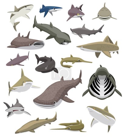 Poses de natation de requin Set Diverses espèces vecteur de bande dessinée