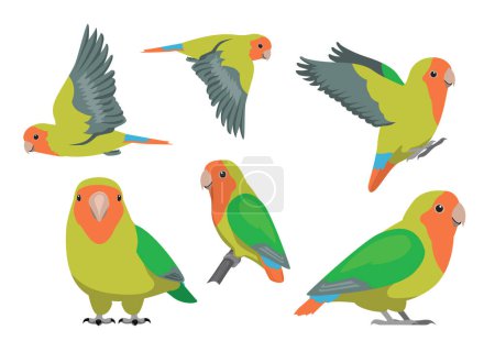 Illustration for Animal Cartoon Bird Parrot Rosy-Faced Lovebird Poses Vector Illustration - Royalty Free Image