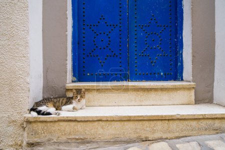 Téléchargez les photos : Image en gros plan de la vieille porte en Tunisie. Architecture de style arabe. - en image libre de droit