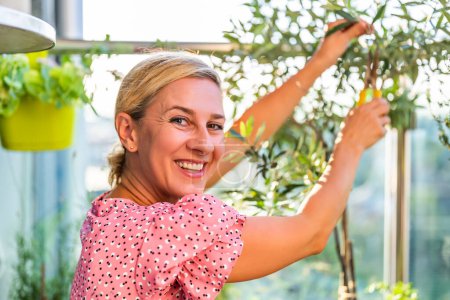 Téléchargez les photos : Femme jardinage sur le balcon à la maison. Elle prend soin de son olivier. - en image libre de droit