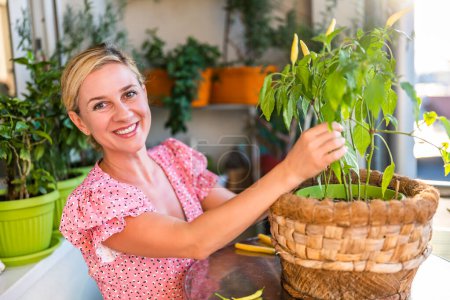 Foto de Mujer feliz está buscando el crecimiento de sus chiles amarillos. Ella disfruta en la jardinería en el balcón en casa. - Imagen libre de derechos