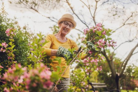 Portrait de femme âgée heureuse jardinage. Elle taille des fleurs.